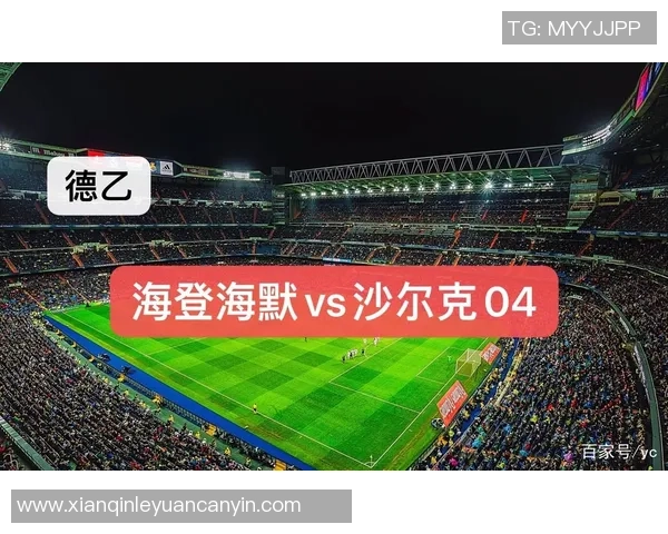 德乙杜塞多夫与海登海默对决前瞻分析及赛前预测